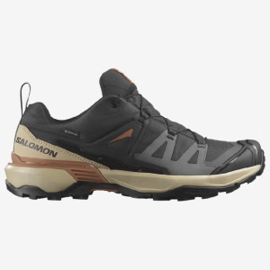 Salomon X Ultra 360 Gore-Tex - Phantom/Safari