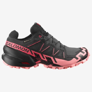 Salomon Speedcross 6 Gore-Tex Women - Pink/Black