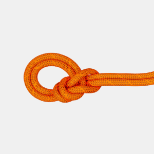 Mammut 9.8 Crag Dry Rope 70m