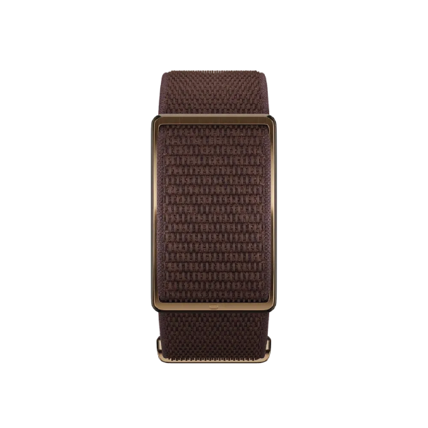 Polar Loop Gen2 - Brown Copper