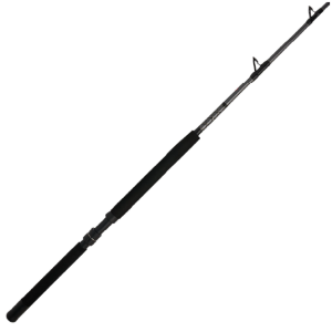 Penn Ally II Boat Conventional 50-80lb